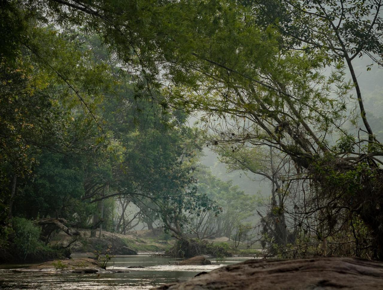 Quiet By The River- Cgh Earth Thodakayam Extérieur photo
