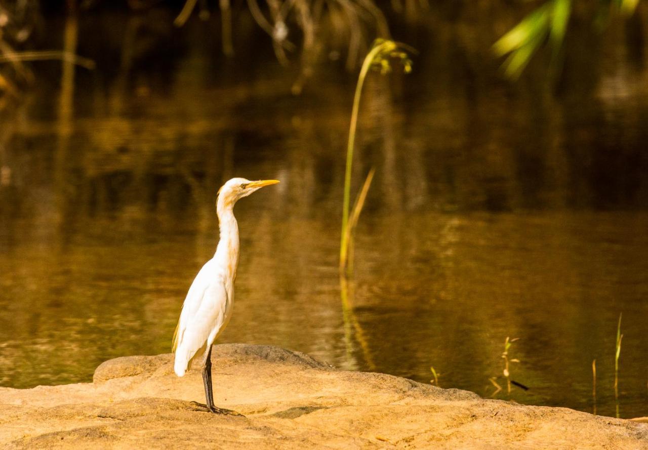 Quiet By The River- Cgh Earth Thodakayam Extérieur photo
