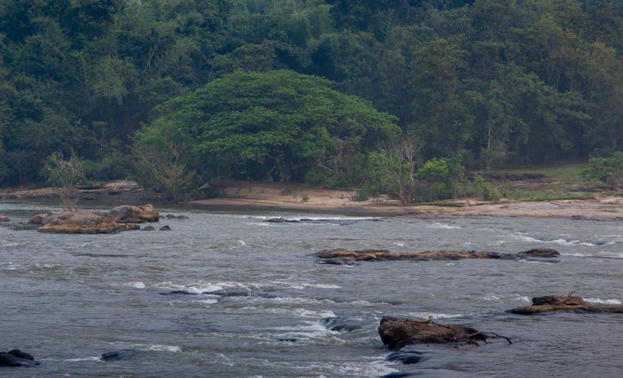 Quiet By The River- Cgh Earth Thodakayam Extérieur photo
